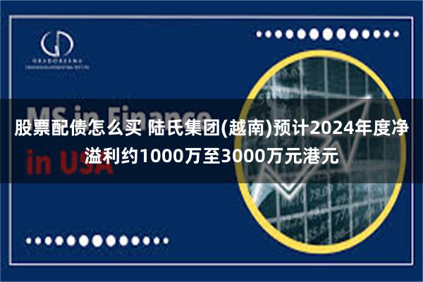 股票配债怎么买 陆氏集团(越南)预计2024年度净溢利约1000万至3000万元港元