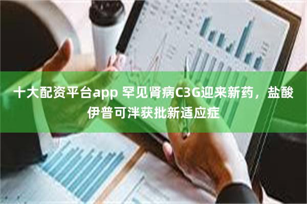 十大配资平台app 罕见肾病C3G迎来新药，盐酸伊普可泮获批新适应症