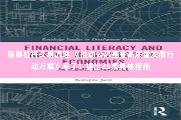 股票杠杆交易原理 《推动公募基金高质量发展行动方案》来了！提出25条具体措施