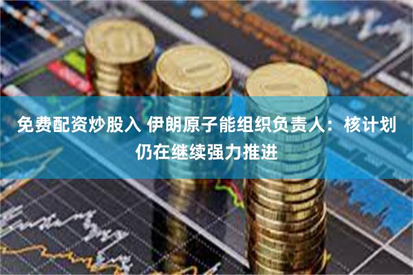 免费配资炒股入 伊朗原子能组织负责人：核计划仍在继续强力推进